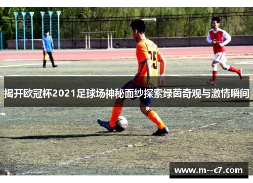 揭开欧冠杯2021足球场神秘面纱探索绿茵奇观与激情瞬间
