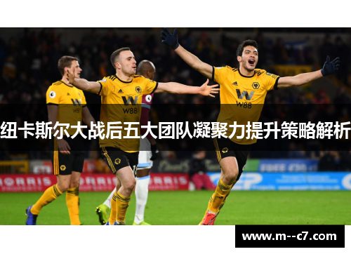 纽卡斯尔大战后五大团队凝聚力提升策略解析