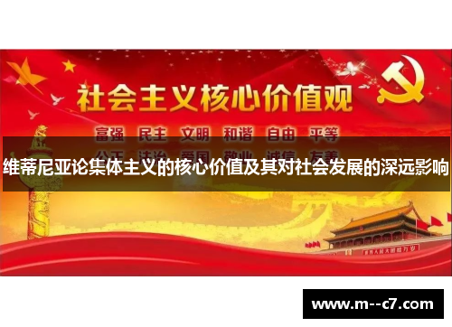 维蒂尼亚论集体主义的核心价值及其对社会发展的深远影响