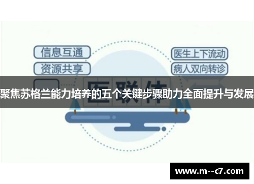 聚焦苏格兰能力培养的五个关键步骤助力全面提升与发展