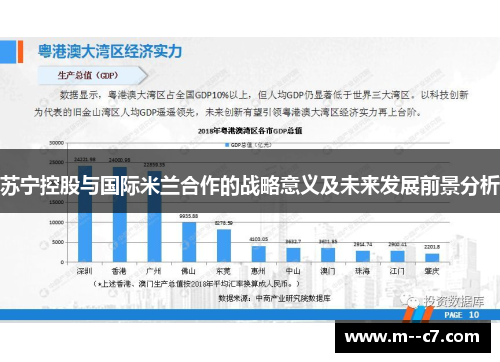 苏宁控股与国际米兰合作的战略意义及未来发展前景分析
