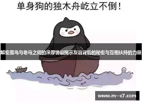 解密魔鸟与老马之间的深厚情谊揭示友谊背后的秘密与互相扶持的力量