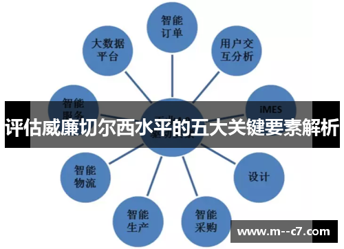 评估威廉切尔西水平的五大关键要素解析 评估威廉切尔西水平的五大关键要素解析