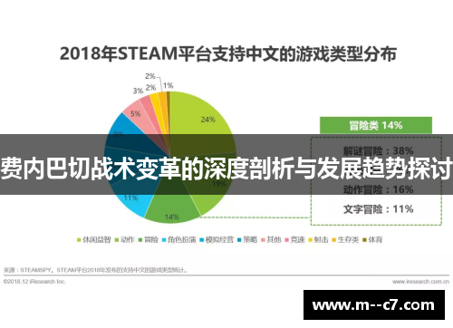 费内巴切战术变革的深度剖析与发展趋势探讨