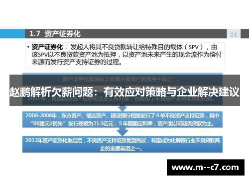 赵鹏解析欠薪问题：有效应对策略与企业解决建议