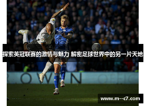 探索英冠联赛的激情与魅力 解密足球世界中的另一片天地