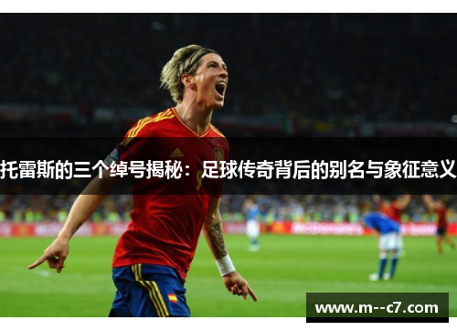 托雷斯的三个绰号揭秘：足球传奇背后的别名与象征意义