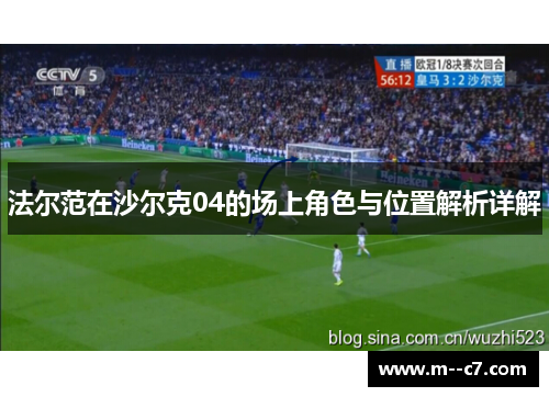 法尔范在沙尔克04的场上角色与位置解析详解