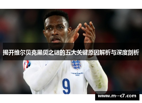 揭开维尔贝克黑贝之谜的五大关键原因解析与深度剖析