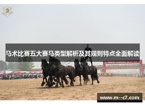 马术比赛五大赛马类型解析及其规则特点全面解读