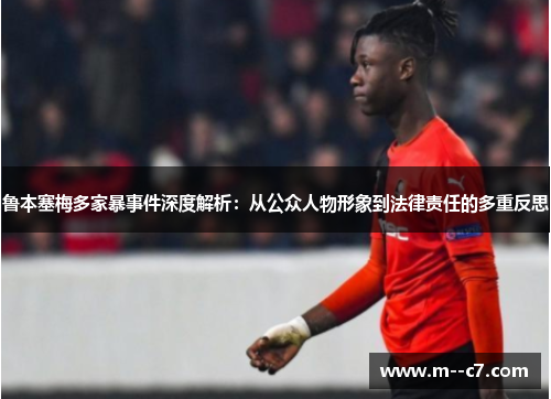 鲁本塞梅多家暴事件深度解析：从公众人物形象到法律责任的多重反思