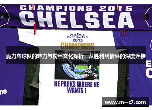 魔力鸟球队的魅力与粉丝文化探析：从胜利到情感的深度连接