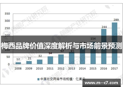 梅西品牌价值深度解析与市场前景预测 梅西品牌价值深度解析与市场前景预测