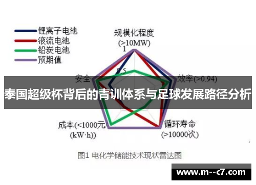 泰国超级杯背后的青训体系与足球发展路径分析 泰国超级杯背后的青训体系与足球发展路径分析