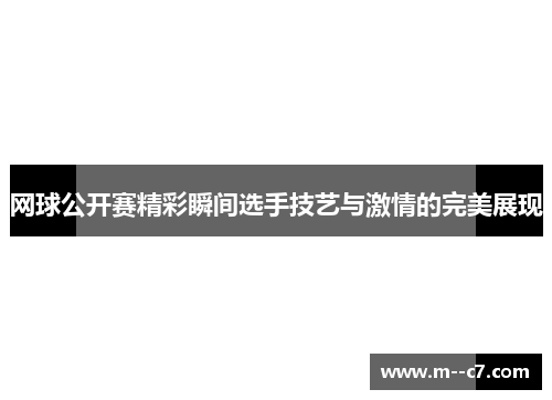 网球公开赛精彩瞬间选手技艺与激情的完美展现