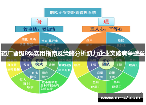 药厂晋级8强实用指南及策略分析助力企业突破竞争壁垒