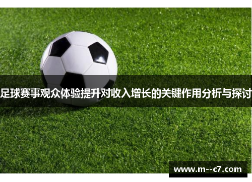 足球赛事观众体验提升对收入增长的关键作用分析与探讨
