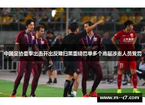 中国足协重拳出击开出反赌扫黑重磅罚单多个高层涉案人员受罚 中国足协重拳出击开出反赌扫黑重磅罚单多个高层涉案人员受罚