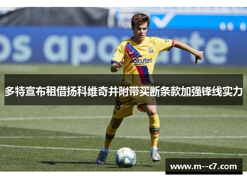 多特宣布租借扬科维奇并附带买断条款加强锋线实力 多特宣布租借扬科维奇并附带买断条款加强锋线实力