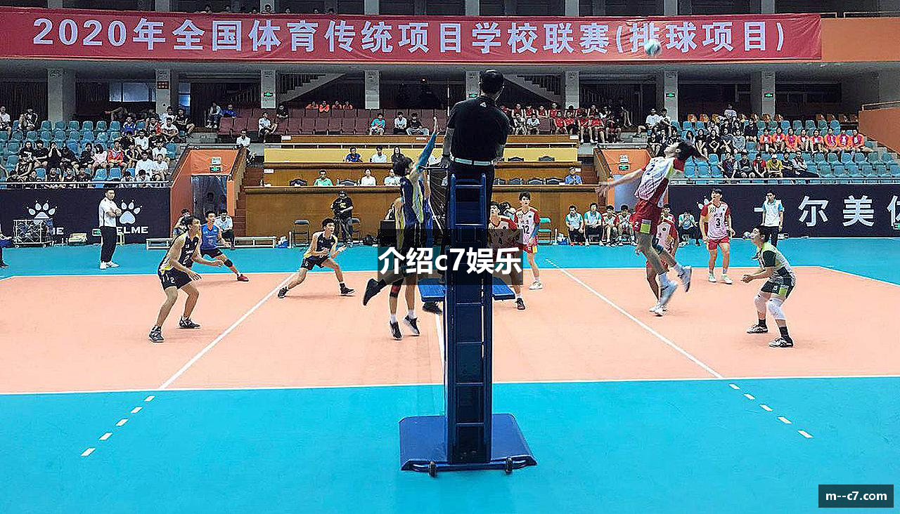 介绍c7娱乐